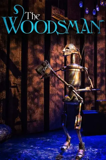 Poster to the movie "The Woodsman" #1885260