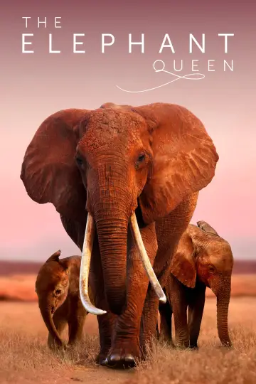 Poster to the movie "The Elephant Queen" #1065852