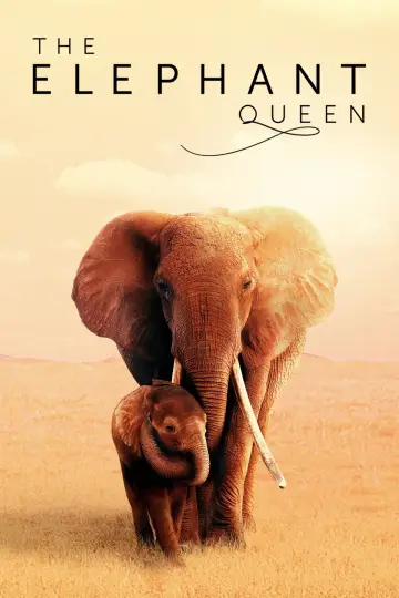 Poster to the movie "The Elephant Queen" #1065853