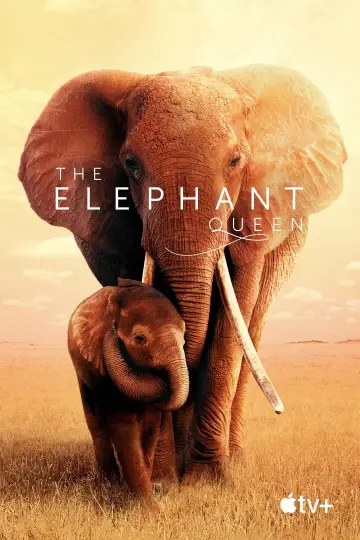Poster to the movie "The Elephant Queen" #1065854
