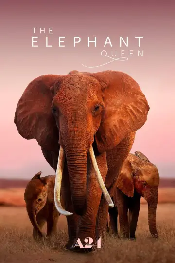 Poster to the movie "The Elephant Queen" #1065855