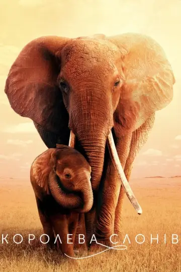 The Elephant Queen