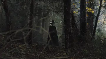 Backdrop to the movie "Gretel & Hansel" #309551
