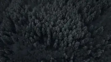 Backdrop to the movie "The Head Hunter" #389687