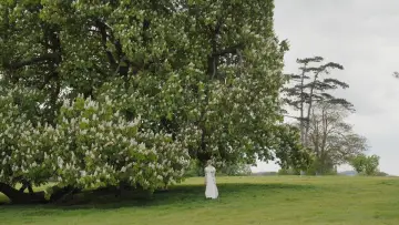 Backdrop to the movie "Emma." #693268