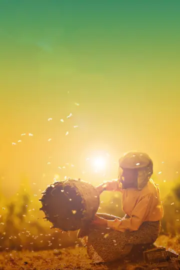 Honeyland