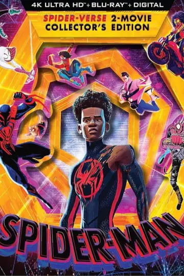 Poster to the movie "Spider-Man: Across the Spider-Verse" #524501