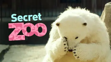 Backdrop to the movie "Secret Zoo" #1072786