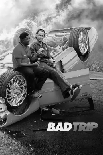 Bad Trip