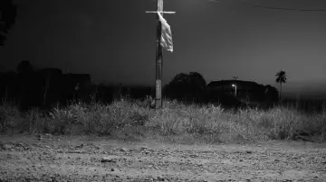 Backdrop to the movie "Fordlandia Malaise" #1784386