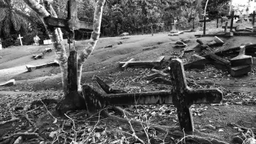 Backdrop to the movie "Fordlandia Malaise" #1784387