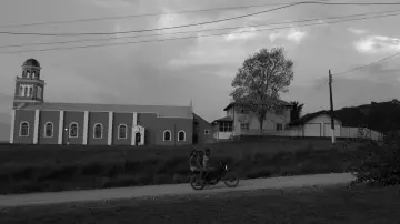 Backdrop to the movie "Fordlandia Malaise" #1784389
