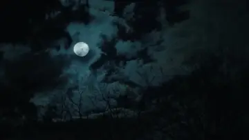 Backdrop to the movie "Fear Street: 1994" #1628928