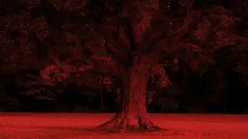 Backdrop to the movie "Fear Street: 1994" #1629094
