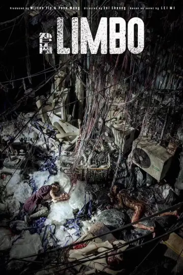Poster to the movie "Limbo" #1026839