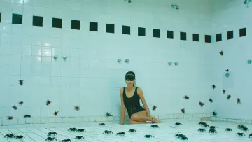 Backdrop to the movie "Arachnids" #1190039
