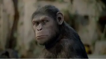 Backdrop to the movie "Rise of the Planet of the Apes" #1643142