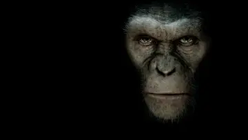 Backdrop to the movie "Rise of the Planet of the Apes" #598929