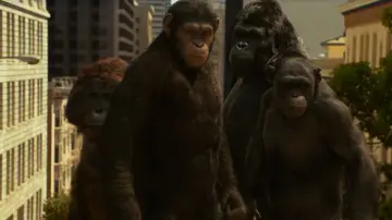 Backdrop to the movie "Rise of the Planet of the Apes" #598938