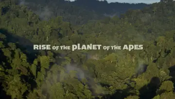 Backdrop to the movie "Rise of the Planet of the Apes" #598939
