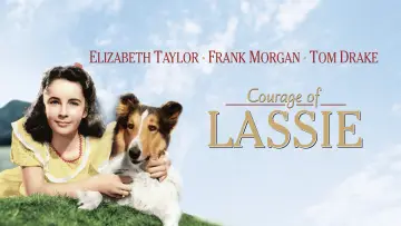 Backdrop to the movie "Courage of Lassie" #1118745