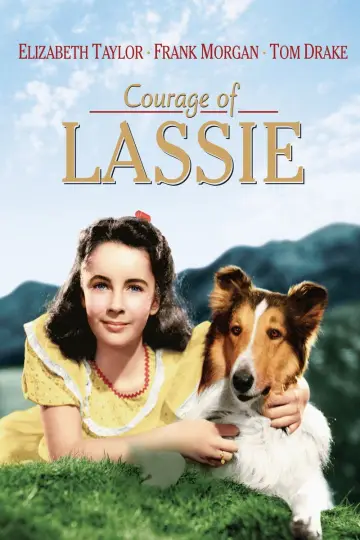 Poster to the movie "Courage of Lassie" #1118753