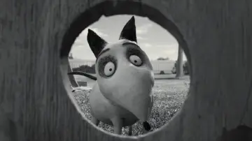 Backdrop to the movie "Frankenweenie" #806921