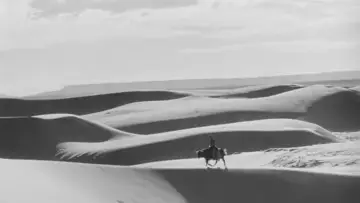 Backdrop to the movie "Four Faces West" #1870129