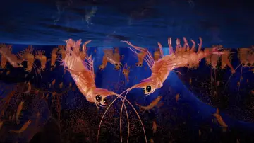 Backdrop to the movie "Happy Feet Two" #725486