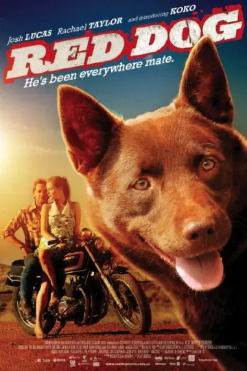 Poster to the movie "Red Dog" #1583920