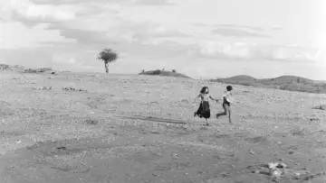 Backdrop to the movie "Black God, White Devil" #1046494