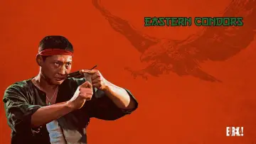 Backdrop to the movie "Eastern Condors" #935411