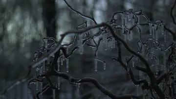 Backdrop to the movie "The Ice Storm" #880501