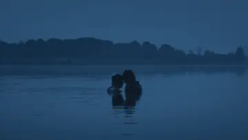 Backdrop to the movie "My Father
