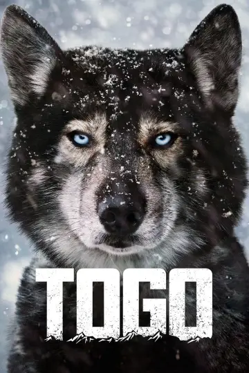 Poster to the movie "Togo" #1200138