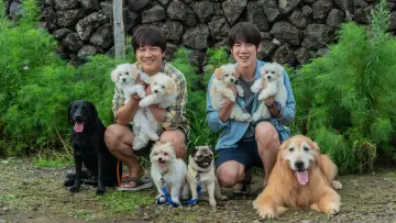 Backdrop to the movie "My Heart Puppy" #1051658