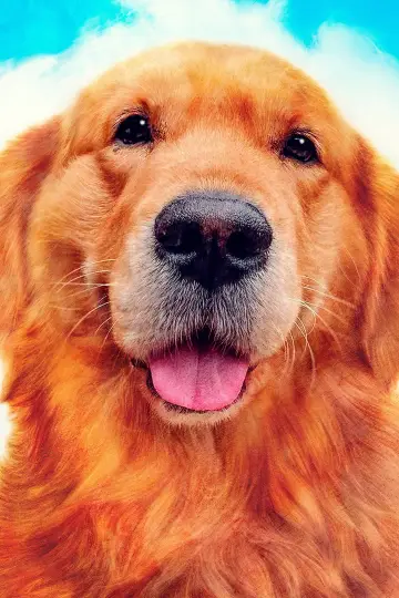 Poster to the movie "My Heart Puppy" #1051668
