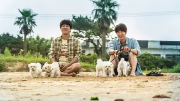 Backdrop to the movie "My Heart Puppy" #413855