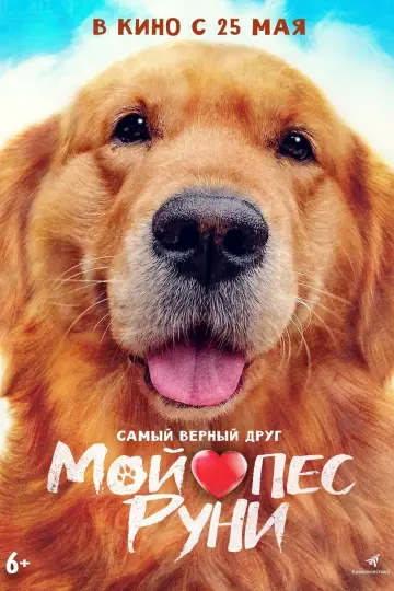 My♡Puppy