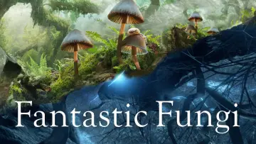 Backdrop to the movie "Fantastic Fungi" #1014700