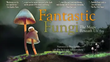 Backdrop to the movie "Fantastic Fungi" #364909