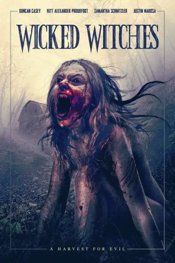 Poster to the movie "Wicked Witches" #1279781