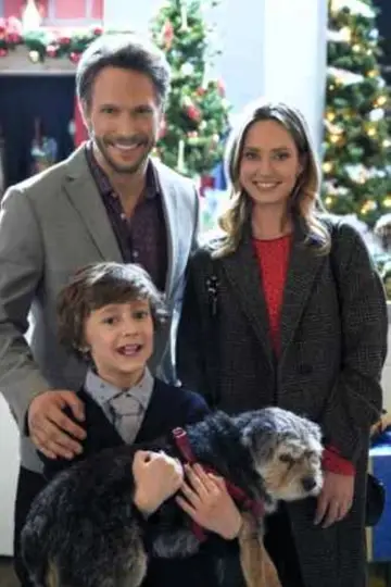 Poster to the movie "Picture a Perfect Christmas" #1867635