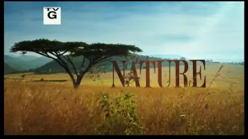 Backdrop to the movie "Nature: Yosemite" #1146722