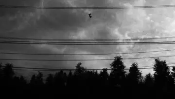 Backdrop to the movie "Spider-Man: No Way Home" #1177215