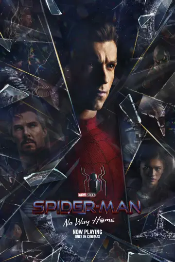 Poster to the movie "Spider-Man: No Way Home" #3413