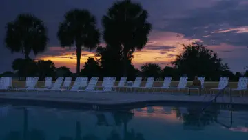 Backdrop to the movie "Some Kind of Heaven" #1889618