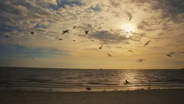 Backdrop to the movie "Some Kind of Heaven" #1889629