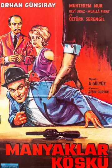 Poster to the movie "The Maniacs