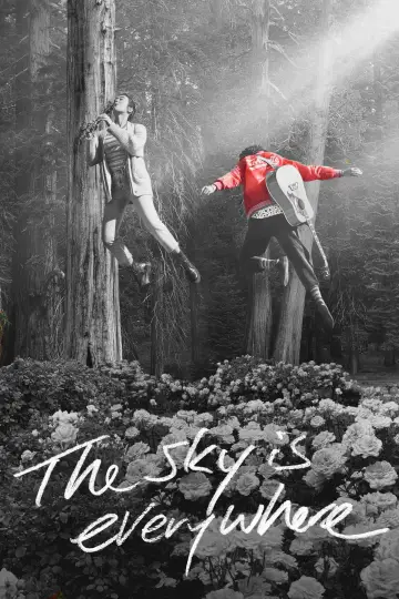 Poster to the movie "The Sky Is Everywhere" #1078418